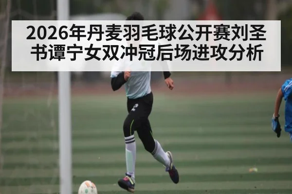 2026年丹麦羽毛球公开赛刘圣书谭宁女双冲冠后场进攻分析